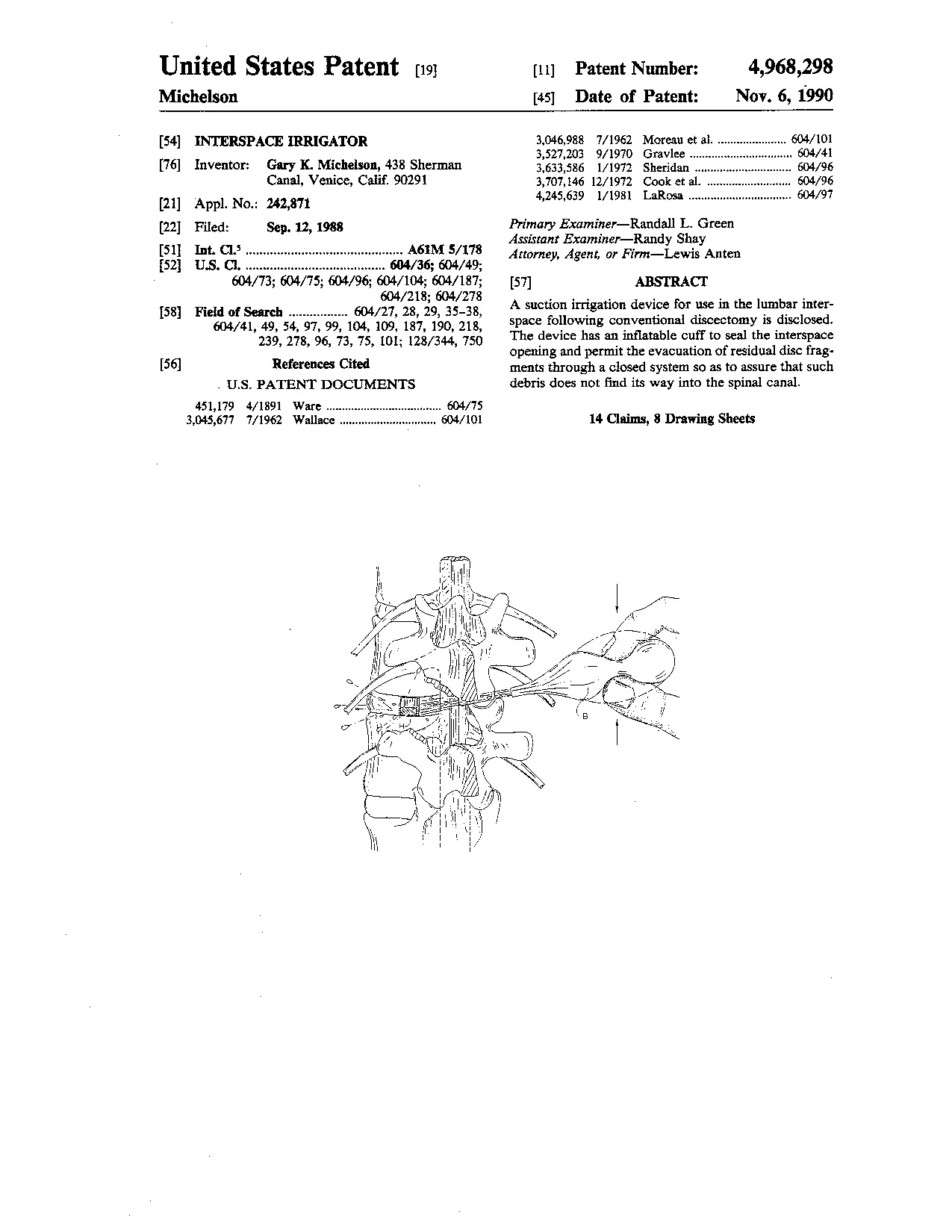 Interspace irrigator - Patent 4,968,298