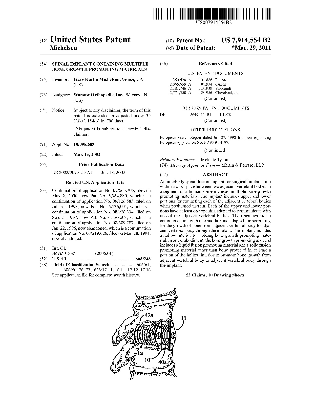 Spinal implant containing multiple bone growth promoting materials - Patent 7,914,554