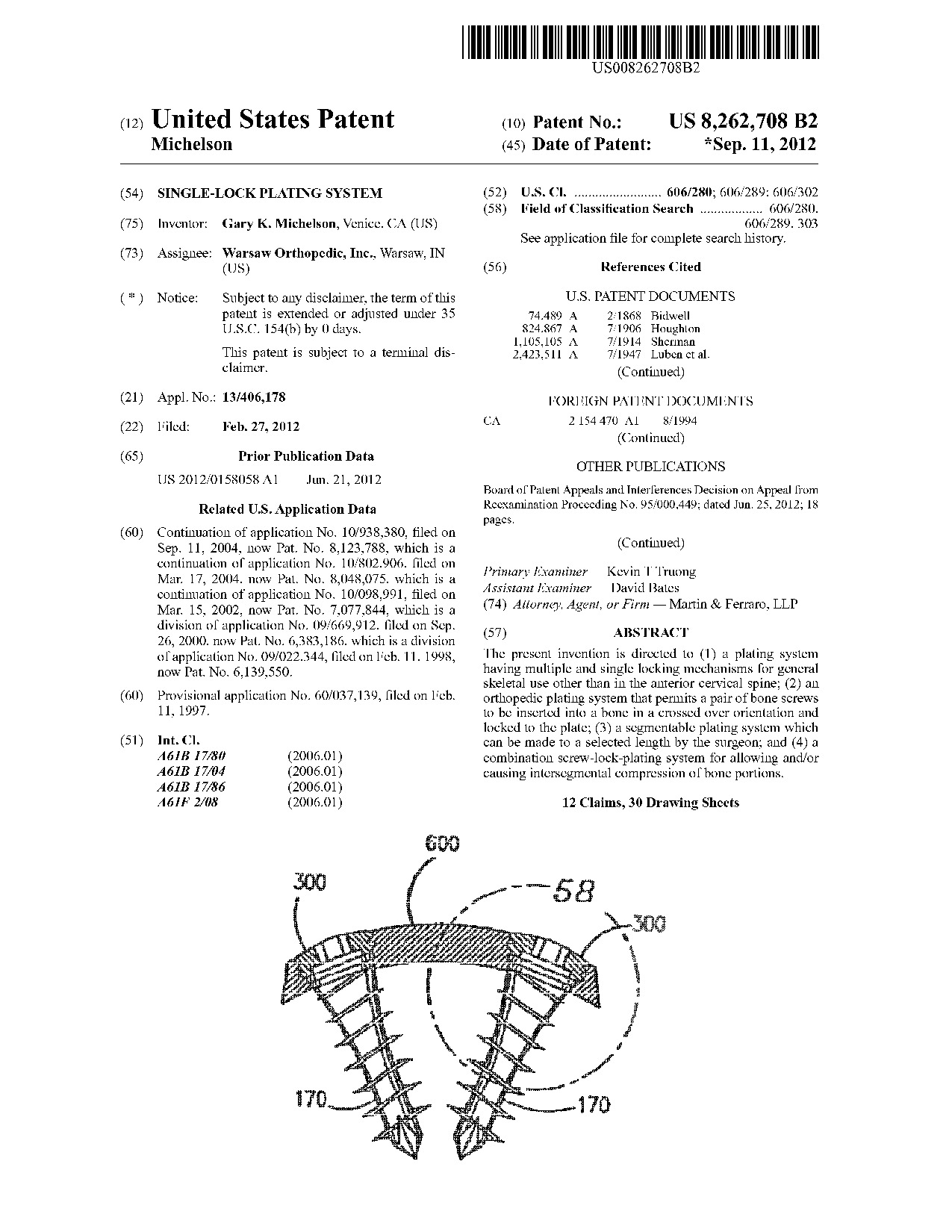 Single-lock plating system - Patent 8,262,708