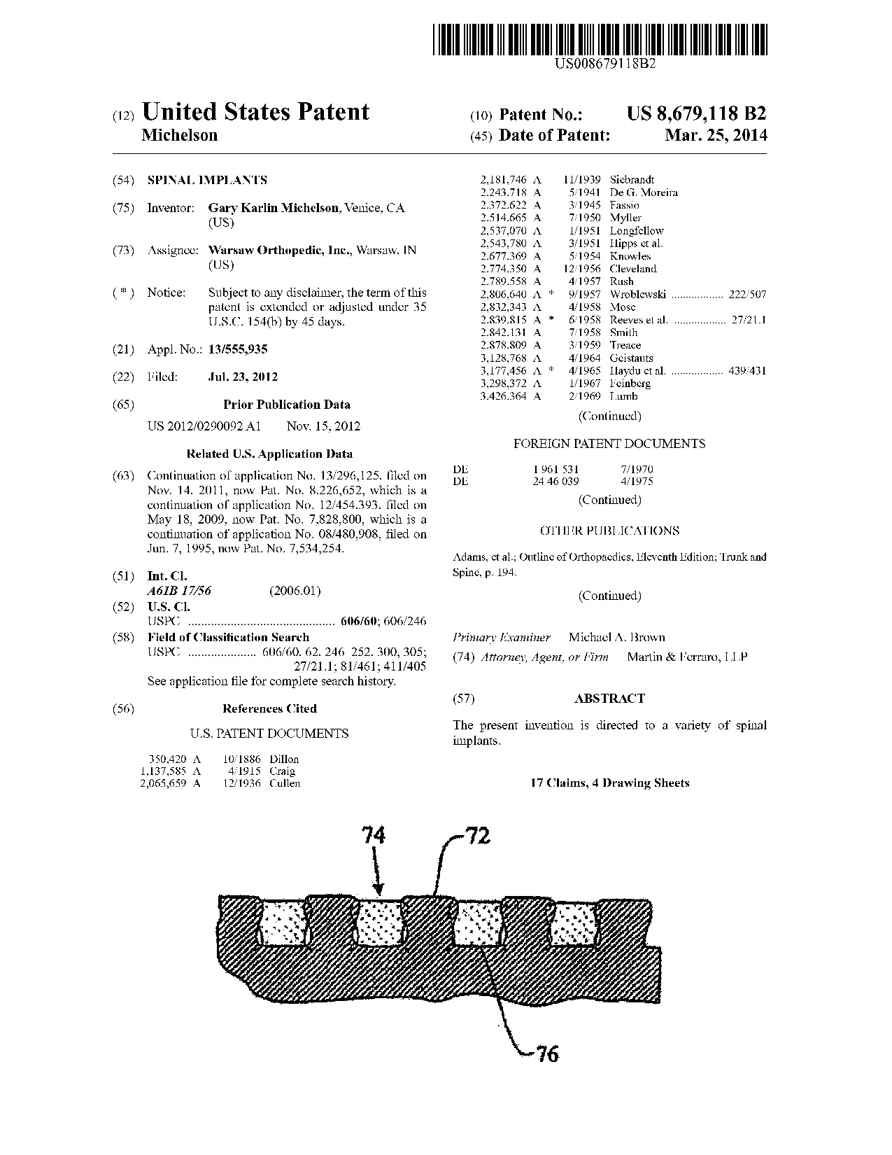 Spinal implants - Patent 8,679,118