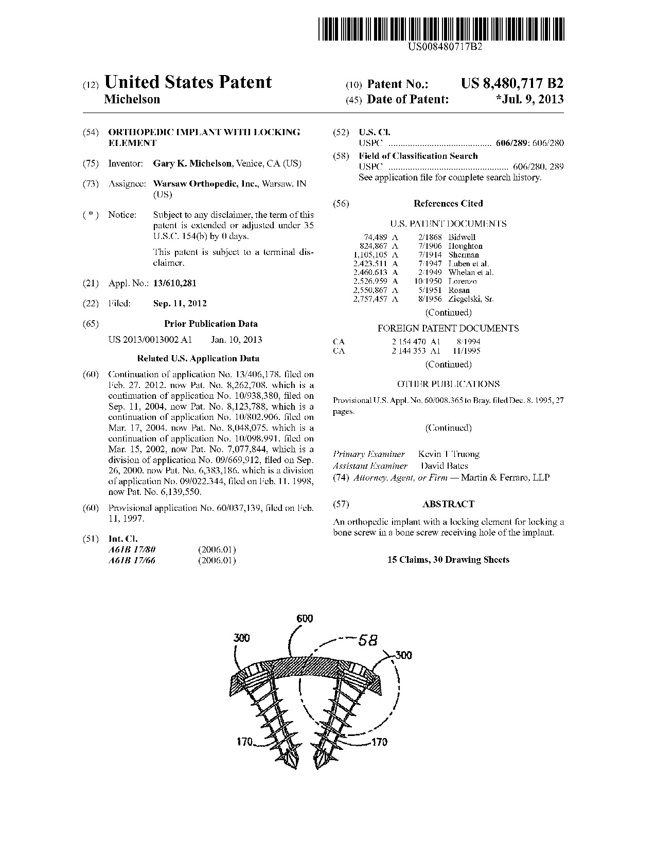 Orthopedic implant with locking element - Patent 8,480,717