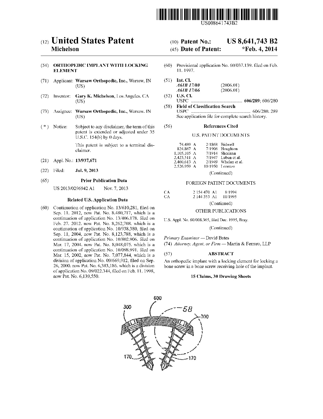 Orthopedic implant with locking element - Patent 8,641,743